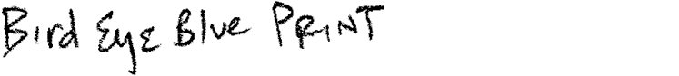 t01_birdeyeblueprint