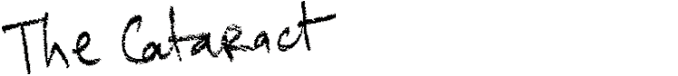 t05_cataract