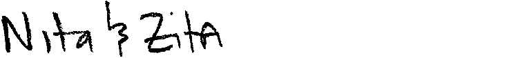 t09_nitazita